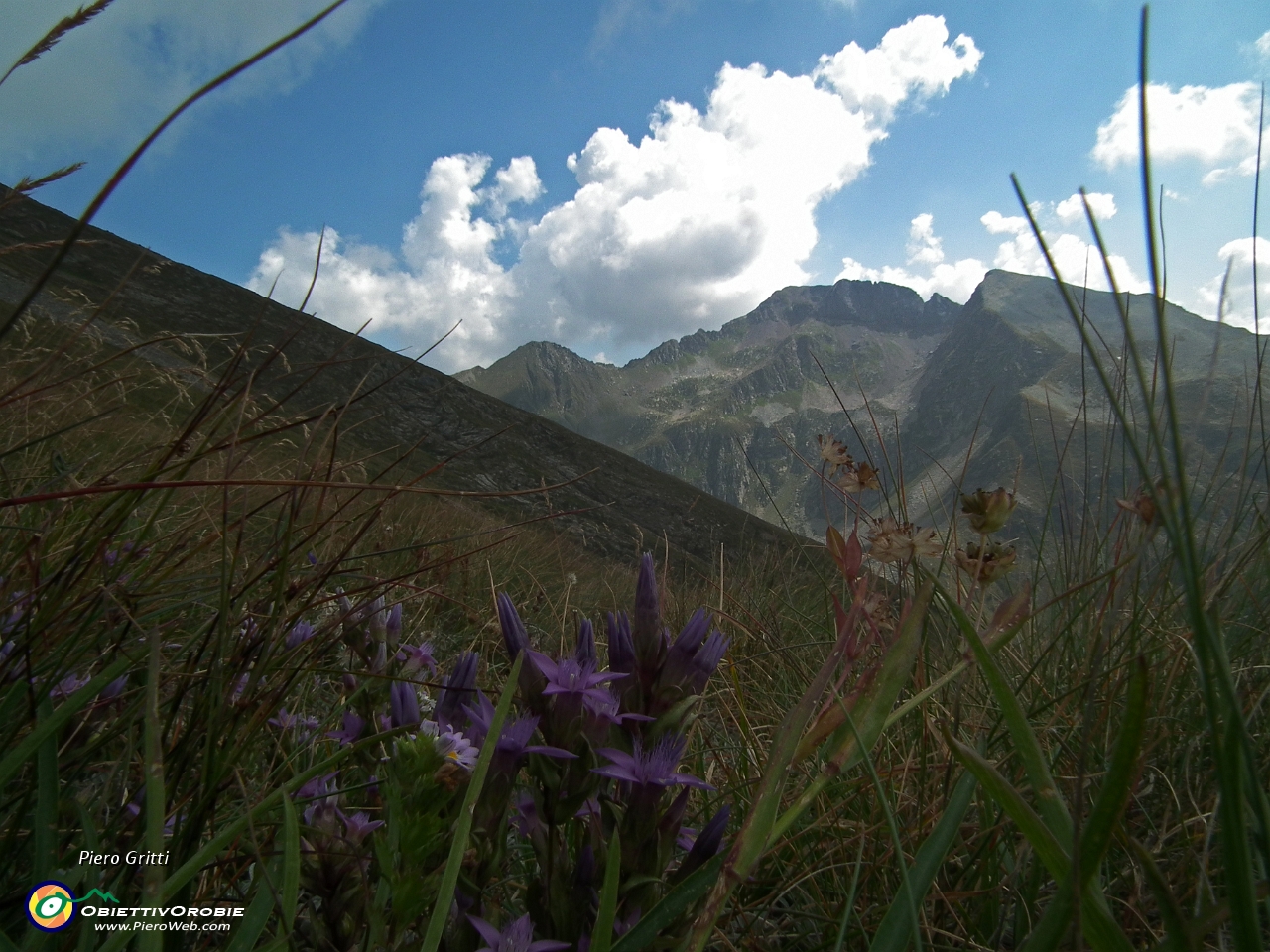 40 genzianelle germaniche con vista in Masoni....JPG